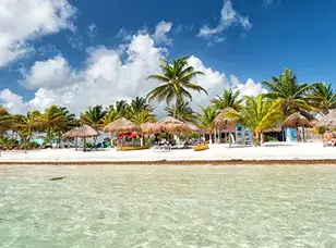 A stunning beach scene in Costa Maya, Mexico. Turquoise water laps against a pristine white sandy shore, lined with swaying palm trees. The sky is a clear and vibrant blue.