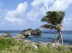 A vibrant aerial view of Grenada, showcasing its lush green interior, pristine white sandy beaches, and crystal-clear turquoise waters of the Caribbean Sea.