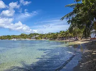 A vibrant beach scene on Roatan Island, Honduras. The image showcases crystal-clear turquoise water, a white sandy beach lined with palm trees, and colorful boats docked nearby.