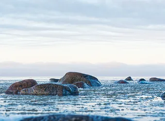 Baltic Sea (Europe)